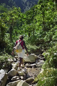 Caraïbes, Ile de la Dominique, randonneuse sur le segment 13 du Waitukubuli National Trail dans le nord de l'île entre Pennville et Capuchin