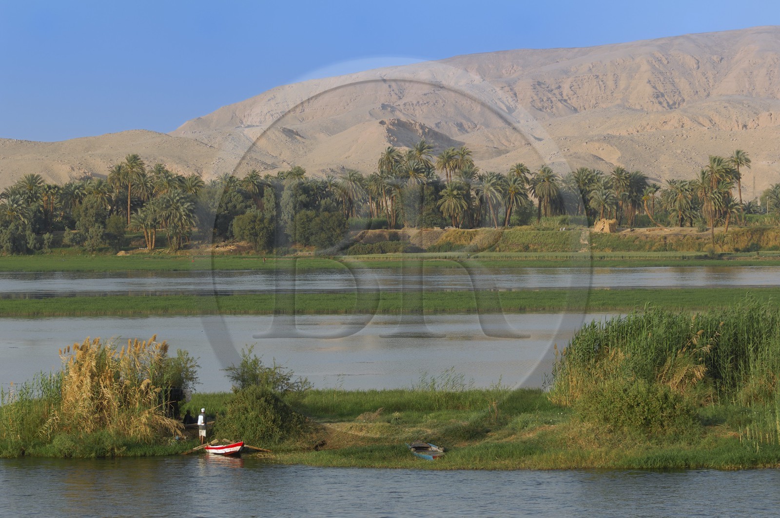 Egypte, Haute Egypte, vallée du Nil, barque de pêcheur sur le Nil entre Louxor et Esna