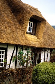 France, Eure (27), Pont-Audemer, une maison à toit de chaume traditionnel