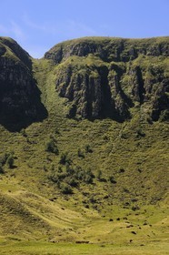 France, Cantal, France, Cantal, monts du Cantal, Parc Naturel Régional des Volcans d'Auvergne (regional nature park of Auvergne volcanoes), Puy-Mary, Salers cow herd at the foot of the mountain of the Fours de Peyre Arse cut by the breach of Roland