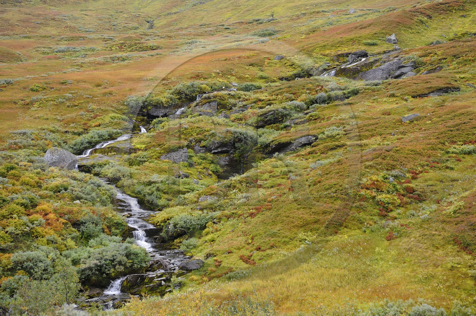 Norvège, Hordaland, Vikajfell, route de Vik à Voss
