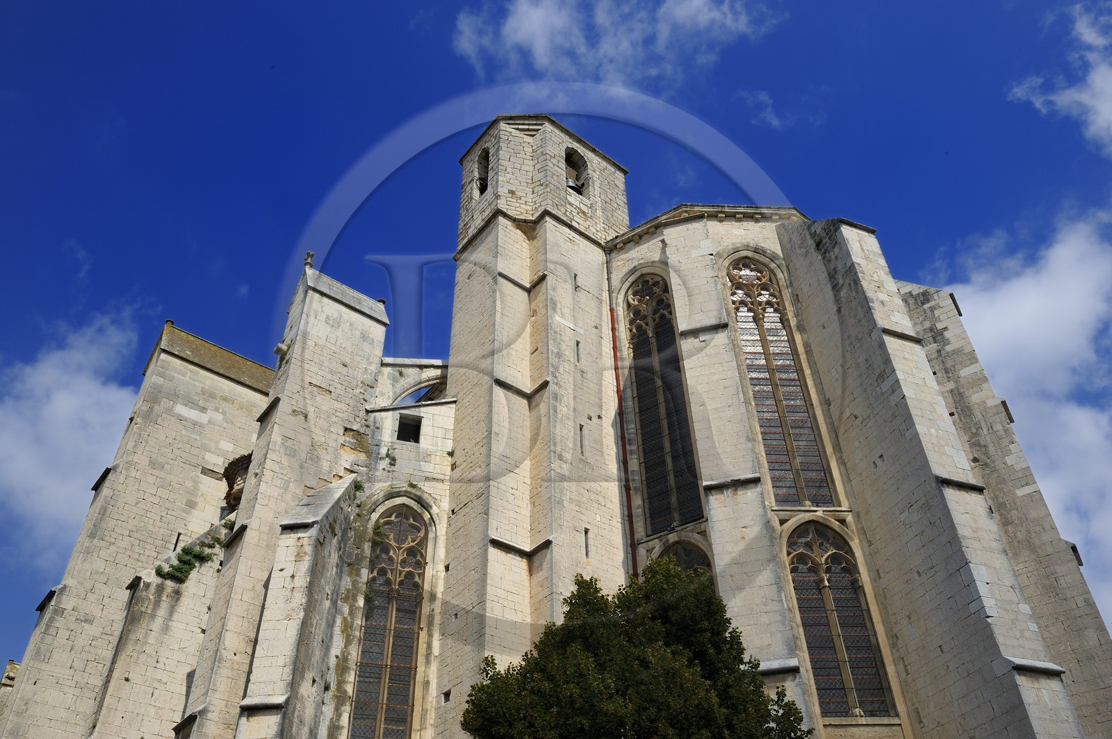France, Var (83), Provence Verte, Saint-Maximin-la-Sainte-Baume, Basilique Sainte-Marie-Madeleine