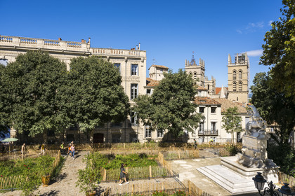 France, Hérault (34), Montpellier, centre historique appelé l’Ecusson, la fontaine aux licornes dans le jardin de la place du Canourgue et les tours de la Cathédrale Saint-Pierre en arrière plan
