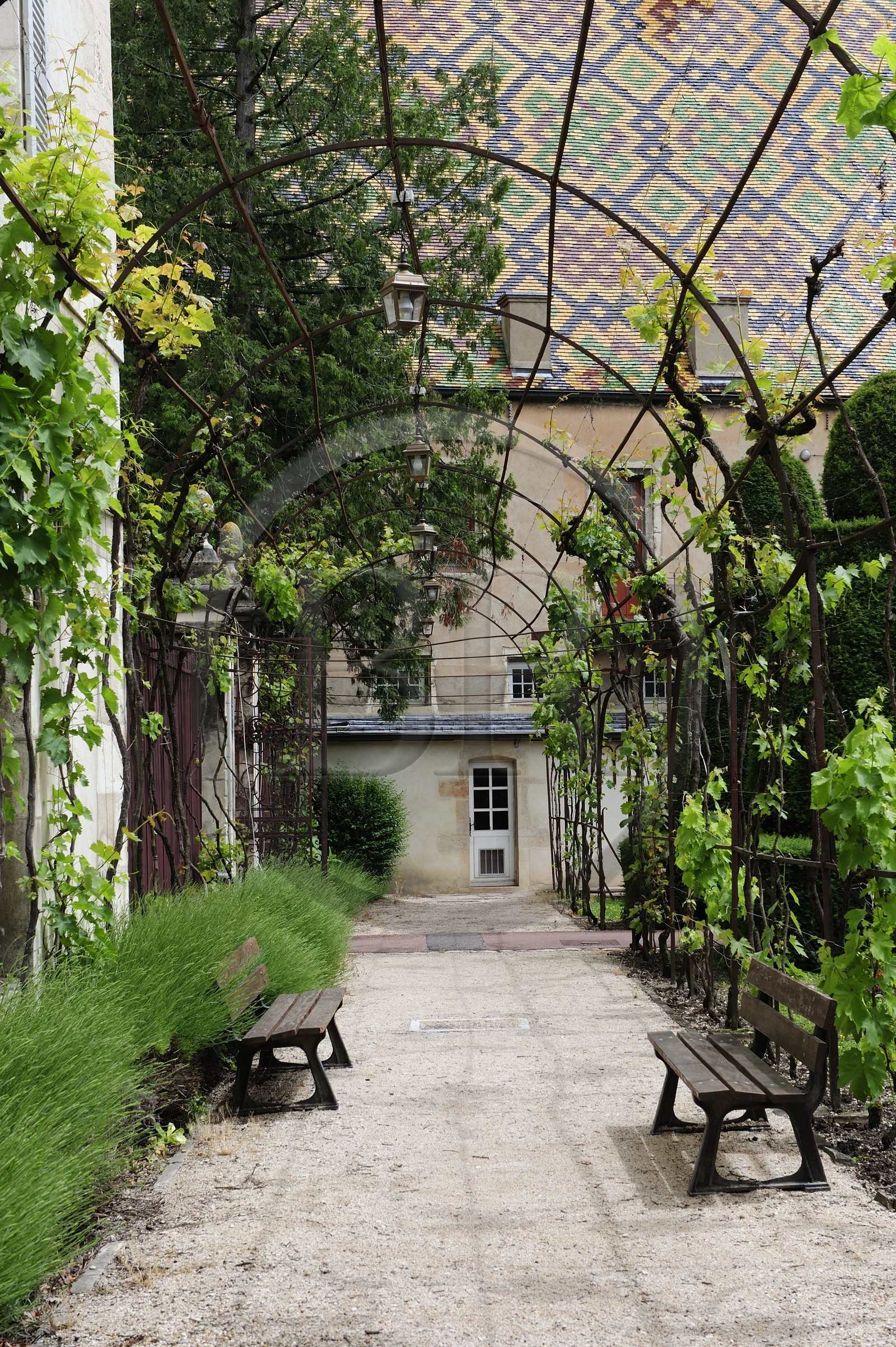 France, Côte-d'Or (21), l'Hôtel-Dieu des Hospices de Beaune, le jardin à l'arrière