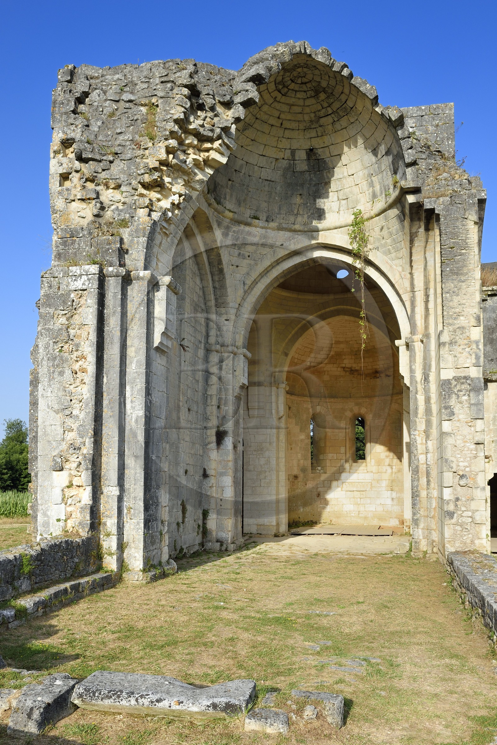 France, Dordogne (24), Périgord Vert, Villars, abbaye cistercienne de Boschaud du 12ème siècle qui dépendait de l'abbaye de Clairvaux, ruines de l'église abbatiale