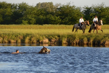 Argentina, Buenos Aires Province, San Antonio de Areco, estancia La Bamba de Areco, gauchos at work, gaucho taking a bath with his horse in a lake