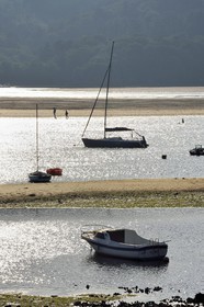 Spain, Basque Country, Biscay Province, Gernika-Lumo region, Urdaibai estuary Biosphere Reserve, estuary of the Oka River at low tide south of Mundaka, small anchorage of Laida