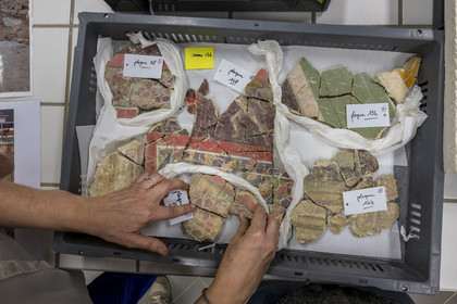 France, Bouches-du-Rhône (13), Arles, musée départemental Arles antique, salle d’étude du service archéologie, recherches des fouilles du site de l'ancienne verrerie de Trinquetaille sur la rive droite du Rhone, maison de la harpiste (entre 70 et 50 av. J.-C.), fragments de la peinture murale à fresque du décor de la pièce du rez-de-chaussée adoptant du rouge vermillon avec le pigment le Cinabre le plus couteux du monde romain