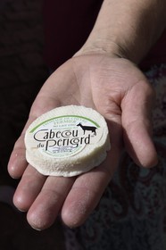 France, Dordogne, Perigord Noir, Dordogne valley, Sarlat la Caneda, market day, Cabécou de Périgord cheese