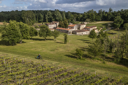 France, Charente-Maritime (17), Saint-Bris-des-Bois, abbaye de Fontdouce, ancienne abbaye bénédictine fondée en 1111 et cycliste dans les vignes faisant la véloroute La Flow Vélo (vue aérienne)