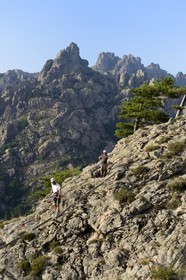 France, Corse du Sud, Alta Rocca, Via ferrata of the adventure park Corsica Madness, the Aiguilles de Bavella (Bavella Needles) in the background