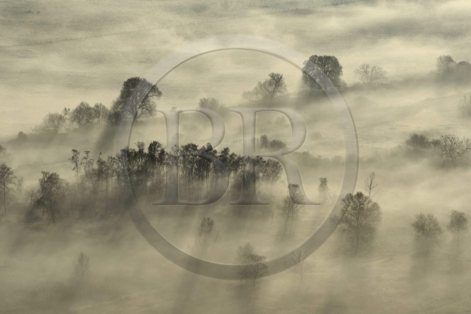France, Calvados (14), La Rivière-Saint-Sauveur, la campagne au pied du Pont de Normandie à l'aube