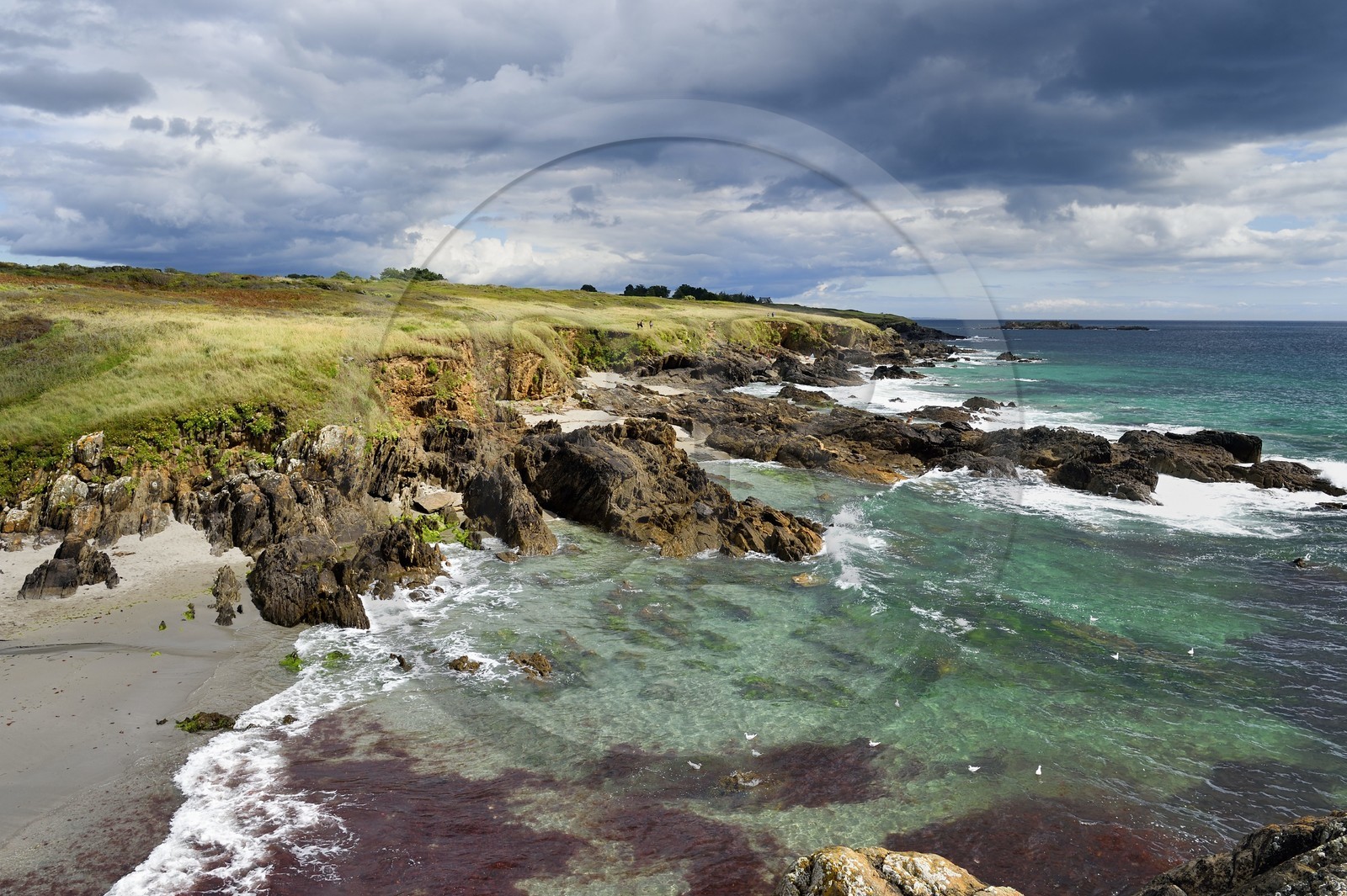 France, Finistère (29), Moelan-sur-Mer, le littoral entre Kerfany les Pins et la plage de Trenez sur le chemin de Grande Randonnée GR 34 ou sentier des douaniers