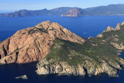France, Corse-du-Sud (2A), Golfe de Porto, classé Patrimoine Mondial de l'UNESCO, le Capo Rosso et la Tour Génoise de Turghiu (Turghio) en arrière plan (vue aérienne)
