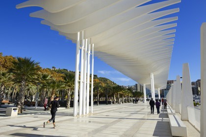 Spain, Andalusia, Malaga, the waterfront on the port, Palmeral de las Sorpresas