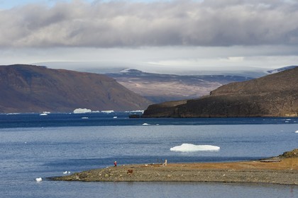 Groenland, cote ouest, Baie de North Star, Wolstenholme fjord à Dundas (Thulé) et la calotte glaciaire en arrière plan