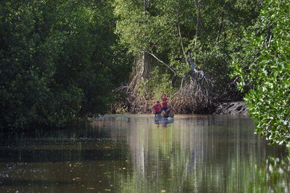 Nicaragua, la côte pacifique de Leon, pirogue dans la mangrove du parc national Isla Juan Venado