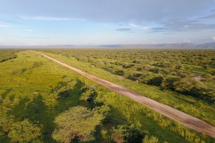 Namibie, Otjiwarongo, le bush autour du Cheetah Conservation Fund (vue a
