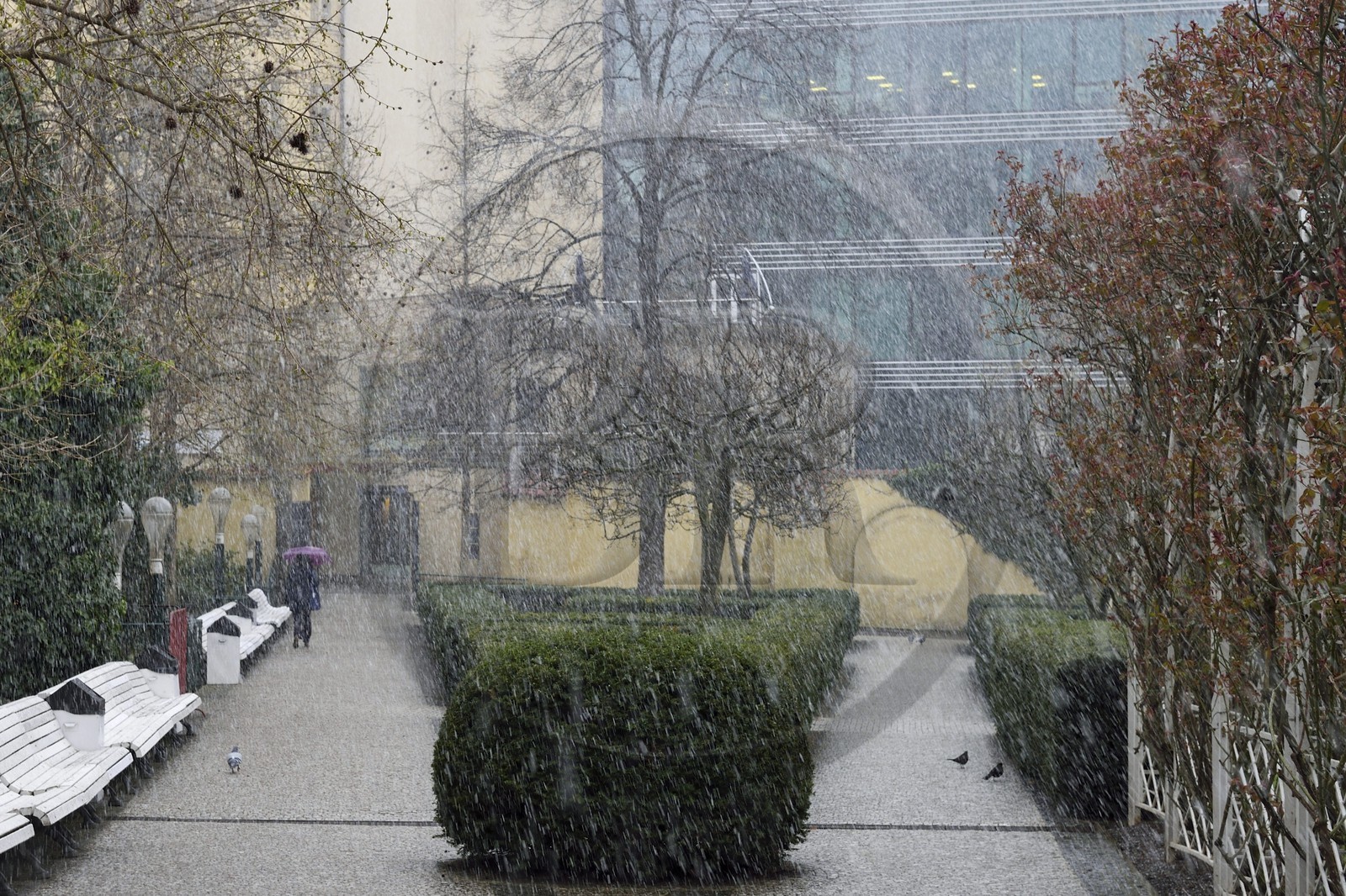 République Tchèque, Prague, Nove Mesto, jardin des franciscains (Frantiskanska zahrada) République Tchèque, Prague, Nove Mesto, jardin des franciscains (Frantiskanska zahrada)