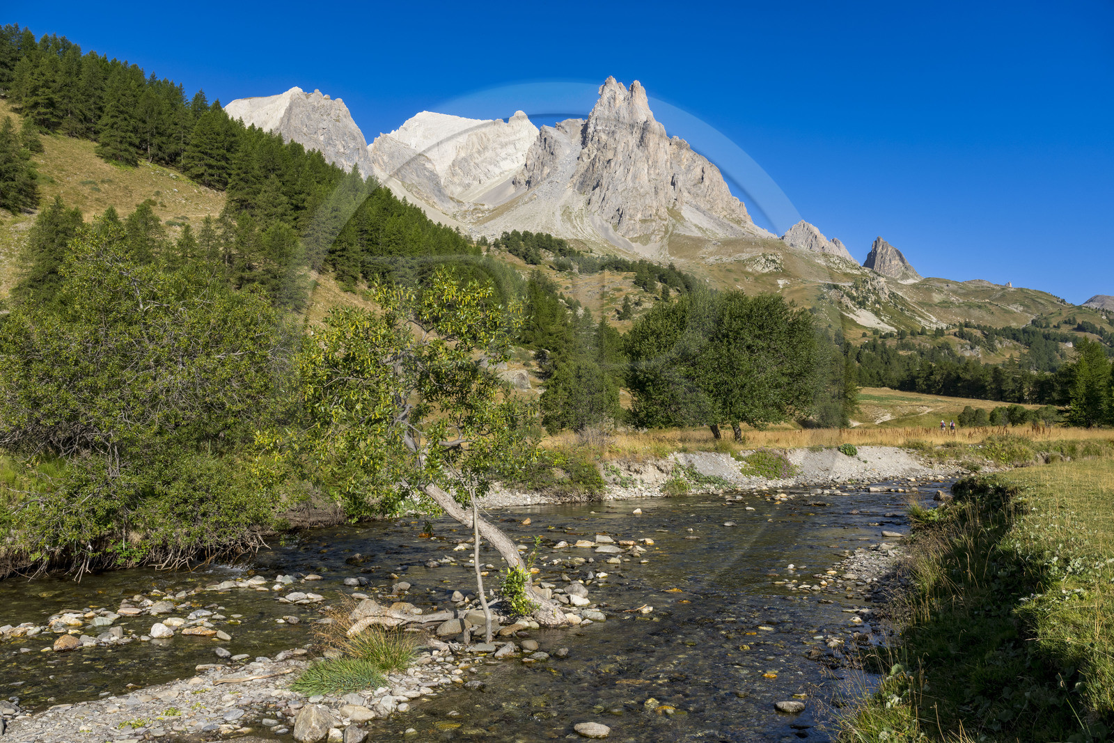 France, Hautes Alpes, Briancon region, Nevache, the Clarée valley, the Clarée river at the Moutet bridge, the Cerces massif and the peaks of the Main de Crépin (2942m) in the background