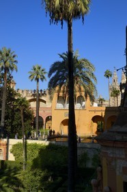 Espagne, Andalousie, Séville, Alcazar de Séville (Reales Alcazares de Sevilla), classé Patrimoine Mondial de l'UNESCO, les jardins et le Palacio Gotico