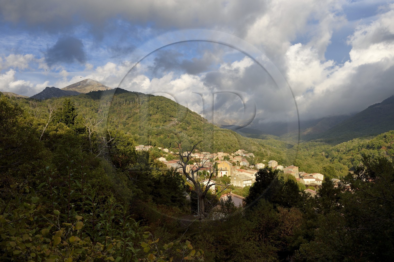France, Corse du Sud, Prunelli river valley, Bastelica