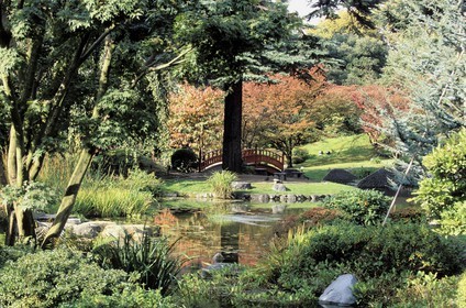 France, Hauts de Seine, Boulogne Billancourt, Japanese garden in Albert Kahn departmental museum