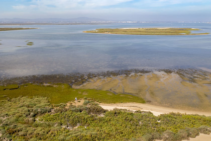 Portugal, Algarve, Ria Formosa Natural Park, Faro, Island of Barreta or Deserta (Ilha da Barretta or Deserta)(aerial view)
