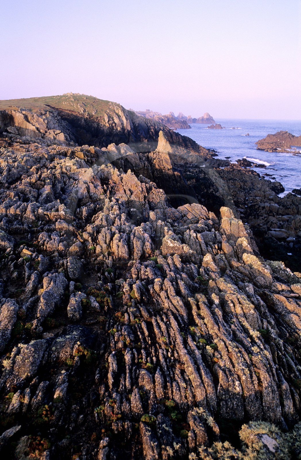 France, Finistère (29), île d'Ouessant, Penn Ar Ru Meur