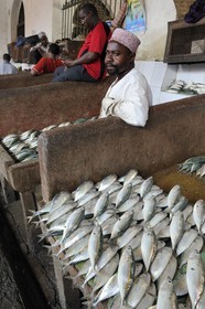 Tanzania, Zanzibar, Stown Town, Darajani market, fish market