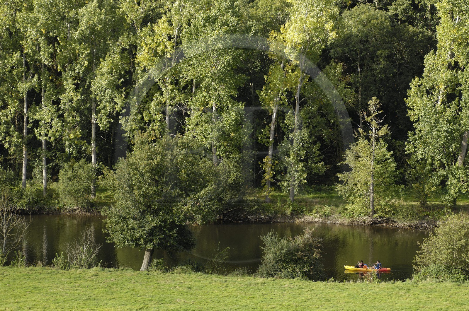 France, Calvados (14), la Suisse normande, Clécy, kayaks sur l'Orne