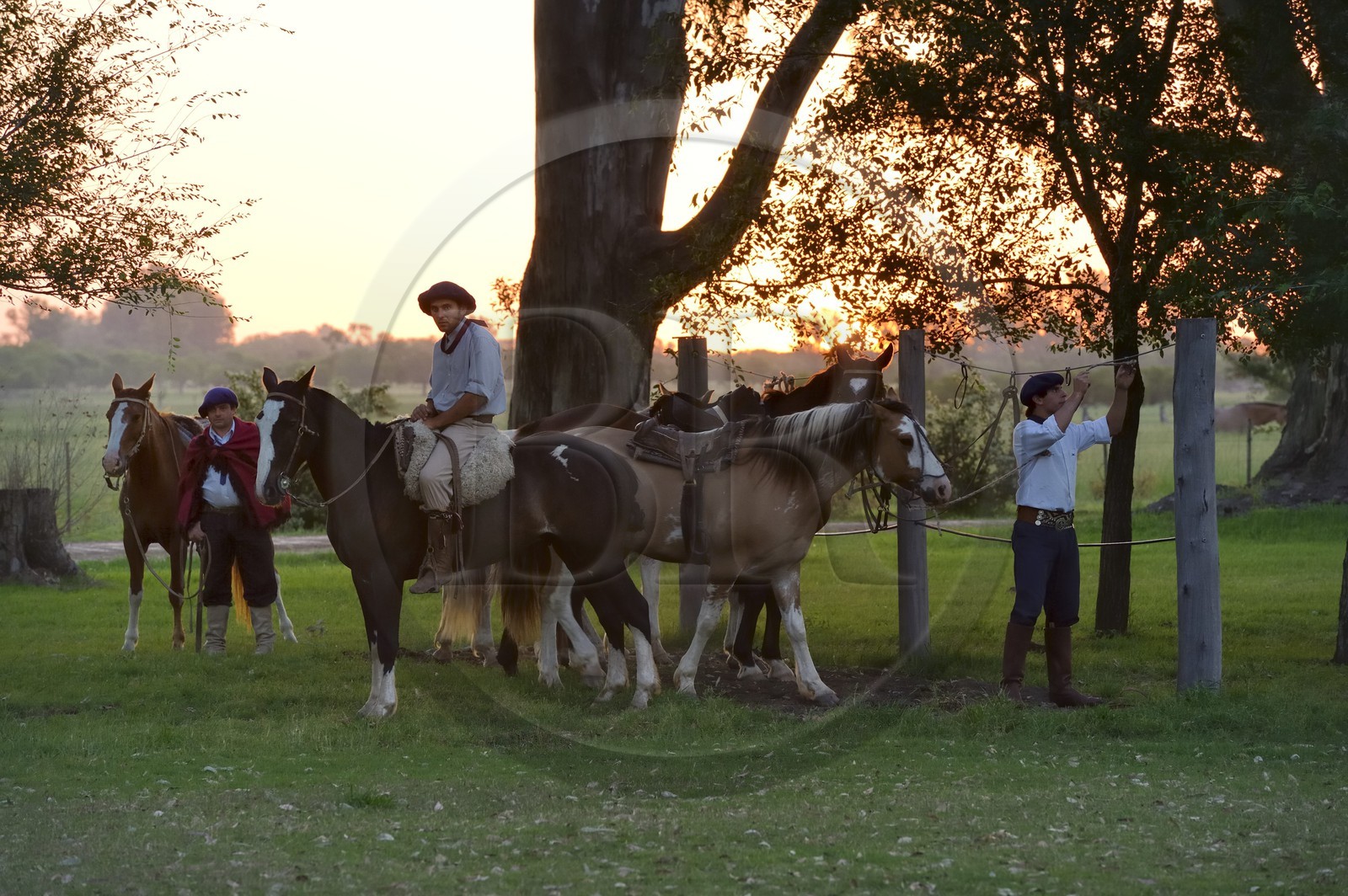 Argentine, province de Buenos Aires, San Antonio de Areco, gauchos dans l'estancia La Bamba de Areco