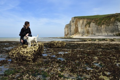 France, Seine-Maritime (76), Pays de Caux, Côte d'Albâtre, entre Etretat et Yport, la falaise vers Bénouville et la plage à marée basse