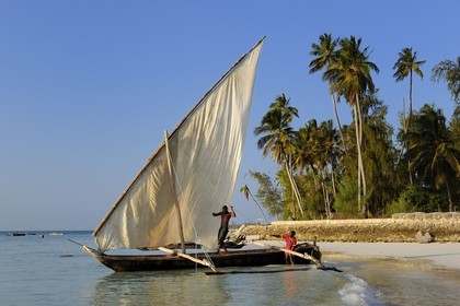 Tanzanie, archipel de Zanzibar, île de Unguja (Zanzibar), côte est, baie de Chwaka vers Michamvi, départ pour la pêche d'un dhow (boutre traditionnel)