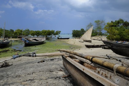 Tanzanie, archipel de Zanzibar, île de Unguja (Zanzibar), ville de Zanzibar, chantier naval près des ruines de Maruhubi Palace