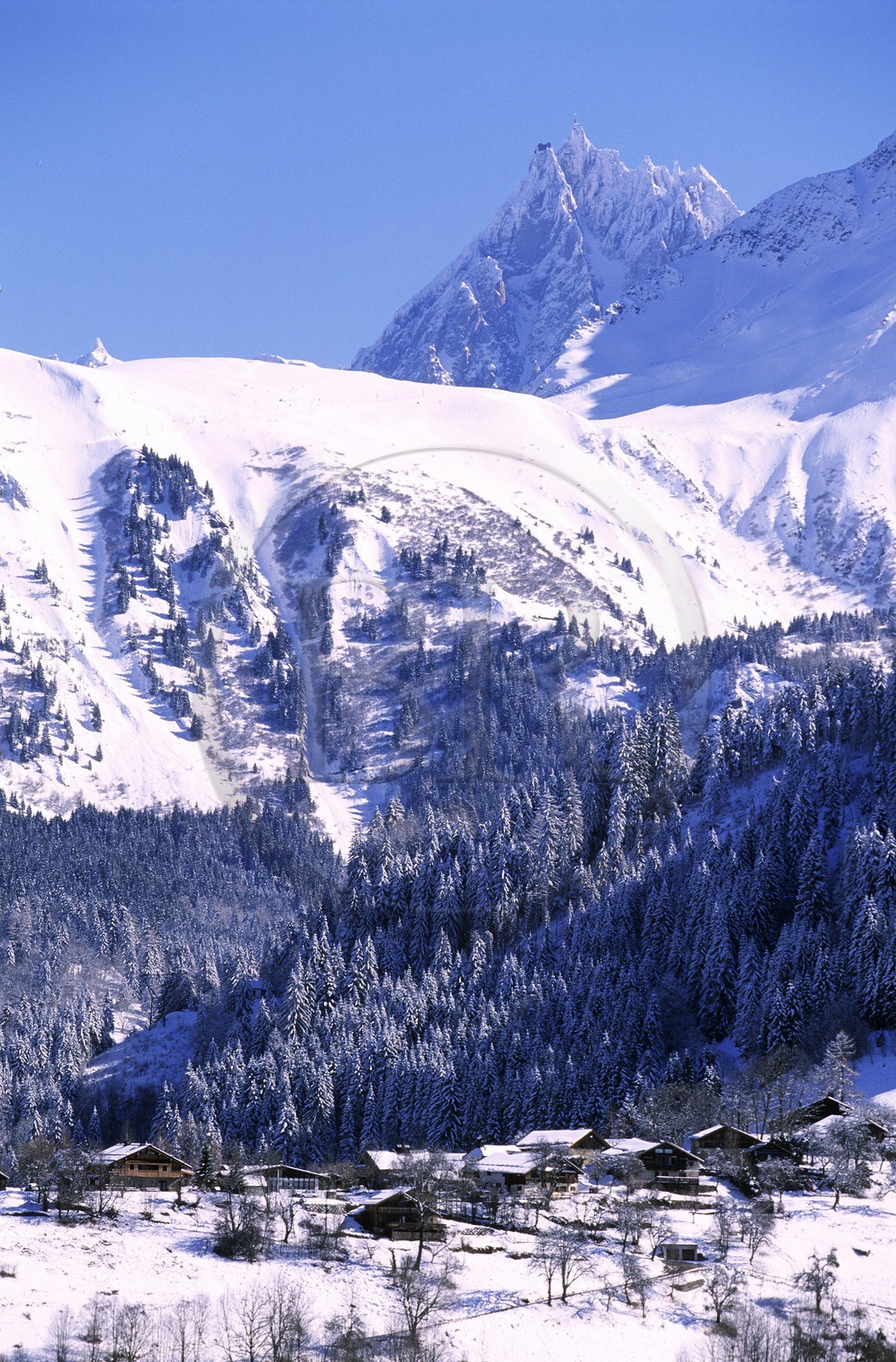 France, Haute-Savoie (74), Saint-Nicolas-de-Véroce, Bionnassay, chaîne du Mont Blanc et Aiguille du Midi
