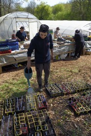 France, Charente (16), Souffrignac, Les Jardins du Bandiat, une ferme spécialisée maraîchage Bio et labellisée Agriculture Biologique fonctionne au travers d'un chantier d'insertion créé par l'association CIDIL