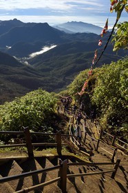 Sri Lanka, province du centre, Dalhousie, escalier menant au Pic d'Adam (Adam's Peak)