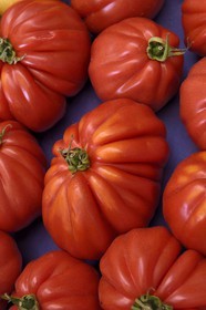 France, Alpes-Maritimes, Antibes, beefsteak tomato