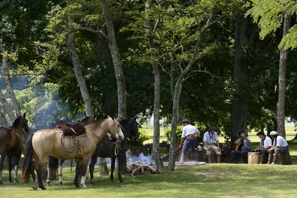 Argentine, province de Buenos Aires, San Antonio de Areco, estancia La Bamba de Areco, gauchos au campement, c'est le temps de la musique et des chants Estilos et Milongas