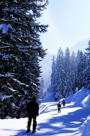 France, Haute Savoie, les Portes du soleil (doors of the sun) area wintertime, Morzine ski resort
