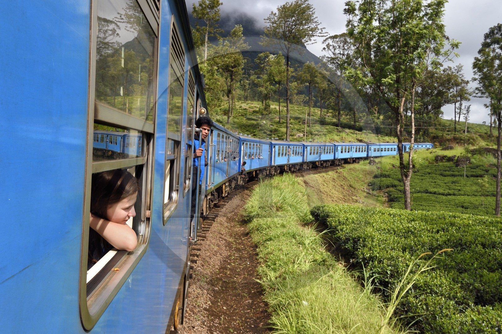 Sri Lanka, Province du Centre, trajet en train dans la région montagneuse de la culture du thé entre Hatton et Ella, plantations de thé dans la région de Watagoda