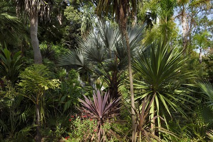 France, Var (83), Hyères, Parc Olbius-Riquier
