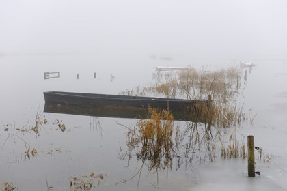 France, Manche, Cotentin, marshes of la Douve towards Liesville sur Douve