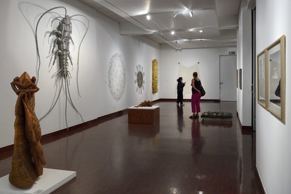 Afrique du Sud, province de Gauteng, Johannesburg, la Standard Bank Gallery, Dans le Tissage (In the Weave), une exposition d'œuvres de Walter Oltmann, l'un des artistes les plus connus d'Afrique du Sud