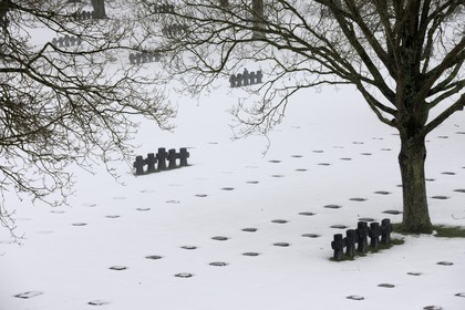 France, Calvados, La Cambe, German military cemetery of the second world war