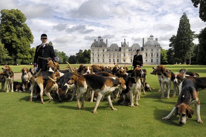 France, Loir et Cher, Chateau de Cheverny, the hunstmen Vol au Vent and La Rosée, who manage the pack of 90 dogs for hunting