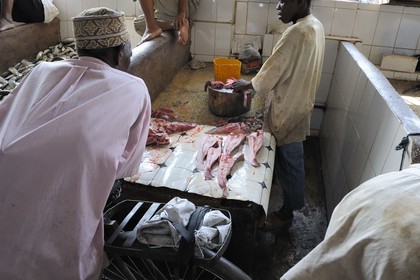 Tanzania, Zanzibar, Stown Town, Darajani market, fish market