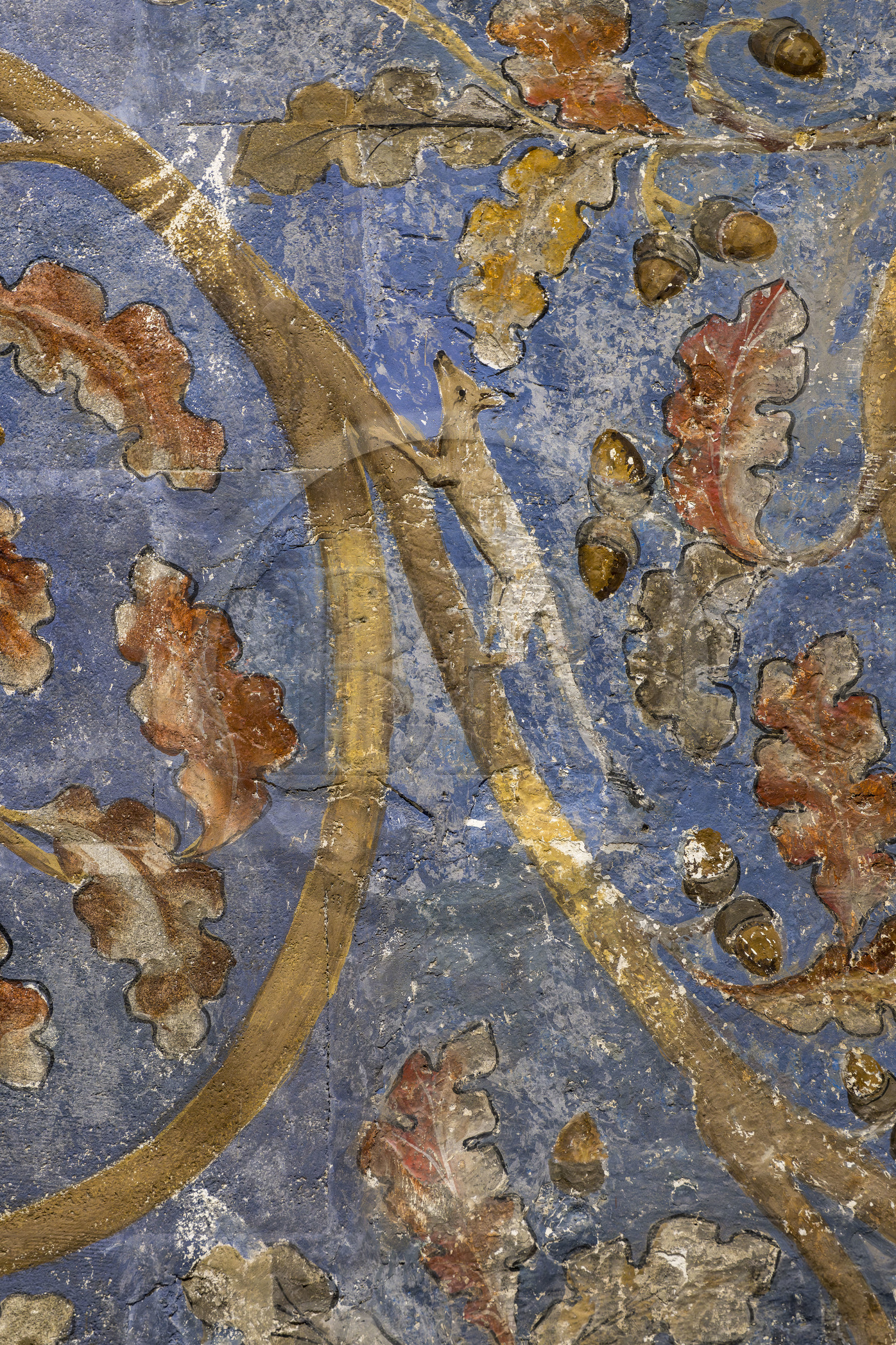 France, Vaucluse (84), Avignon, Palais des Papes classé Patrimoine mondial de l'UNESCO, la tour des Anges ou tour du pape, chambre du Pape, un espace végétal à deux dimensions fait de rinceaux de vigne et de chêne, parsemés d’oiseaux et d’écureuils, orne les murs sur un fond bleu ciel