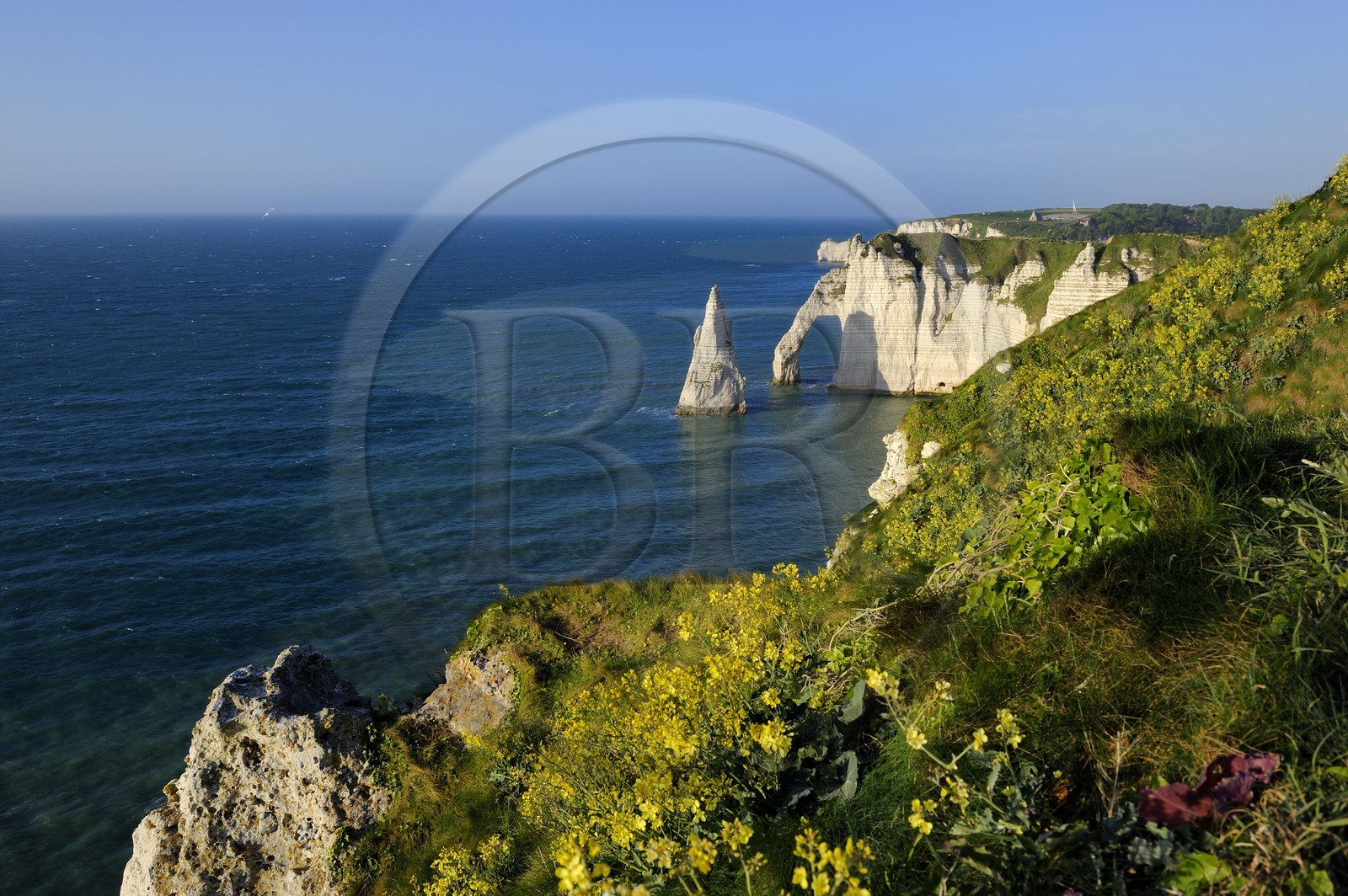 France, Seine-Maritime (76), Pays de Caux, Côte d'Albâtre, Etretat, la falaise d'Aval et l'Aiguille Creuse